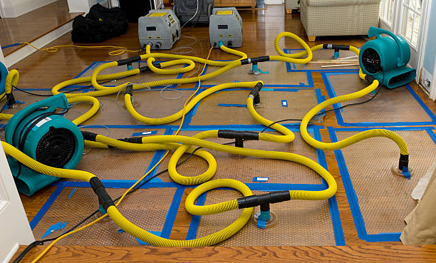 Professional Emergency Water Removal technician working in Hamilton, AL