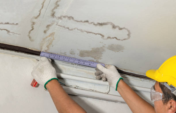 Affordable Water Damage Repair solutions in Hamilton, AL